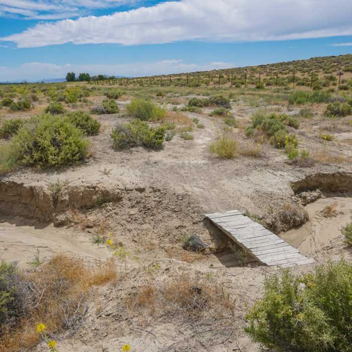 Near Rattlesnake Hill Loop