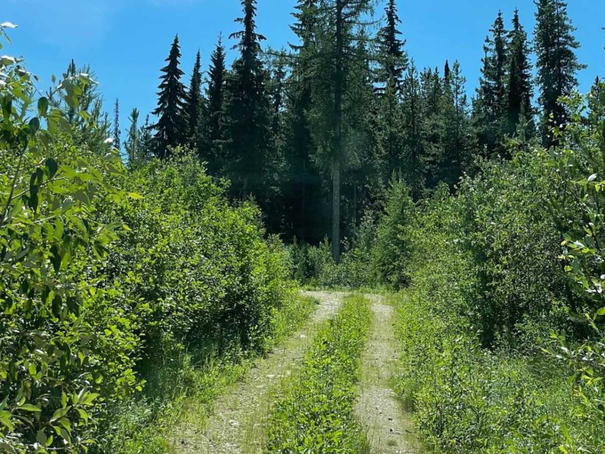 Grizzly Refuge photo 5