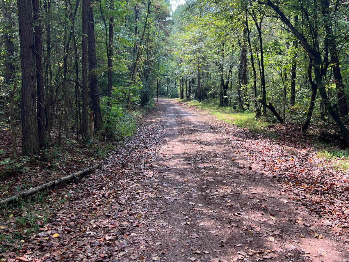 Shaw Branch Road trail photo