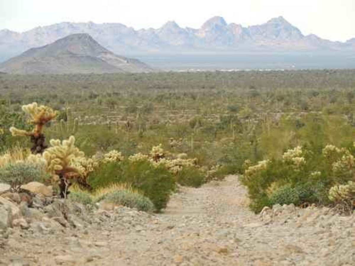 Hillbilly trail photo