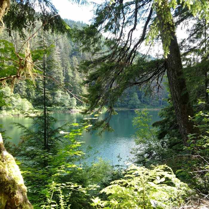 Near Spider Lake Trail #879