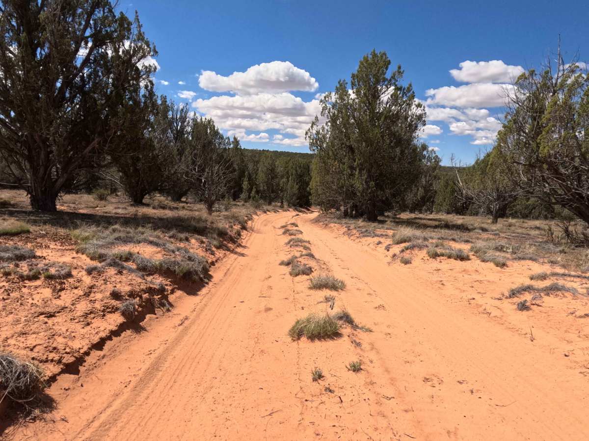 BLM 101B photo 4