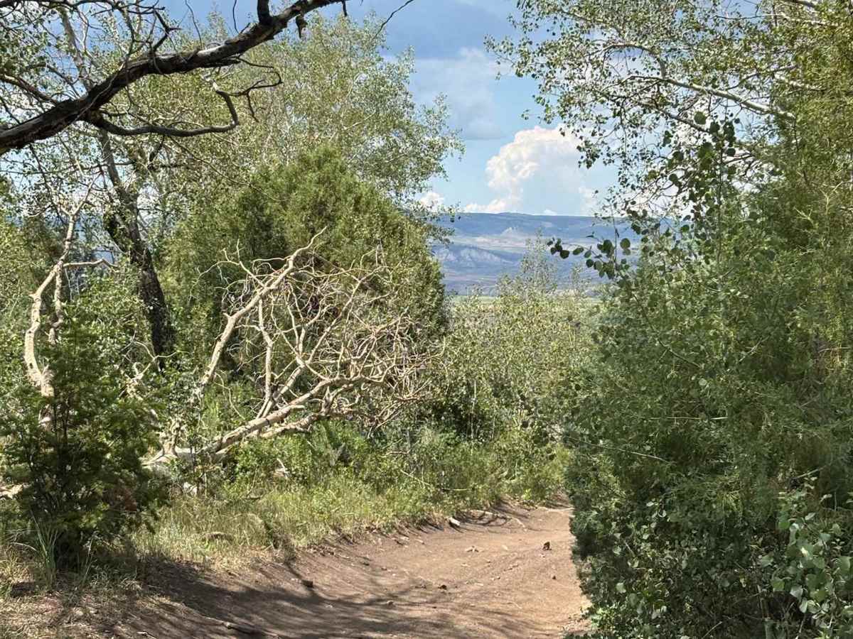 Southern Wolford Reservoir photo 4