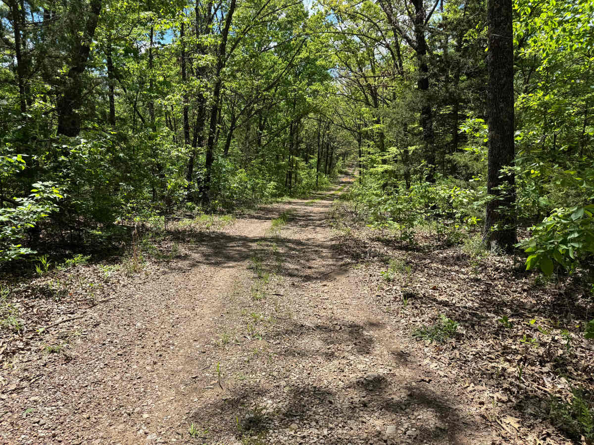 Cave Springs Spur A photo 2