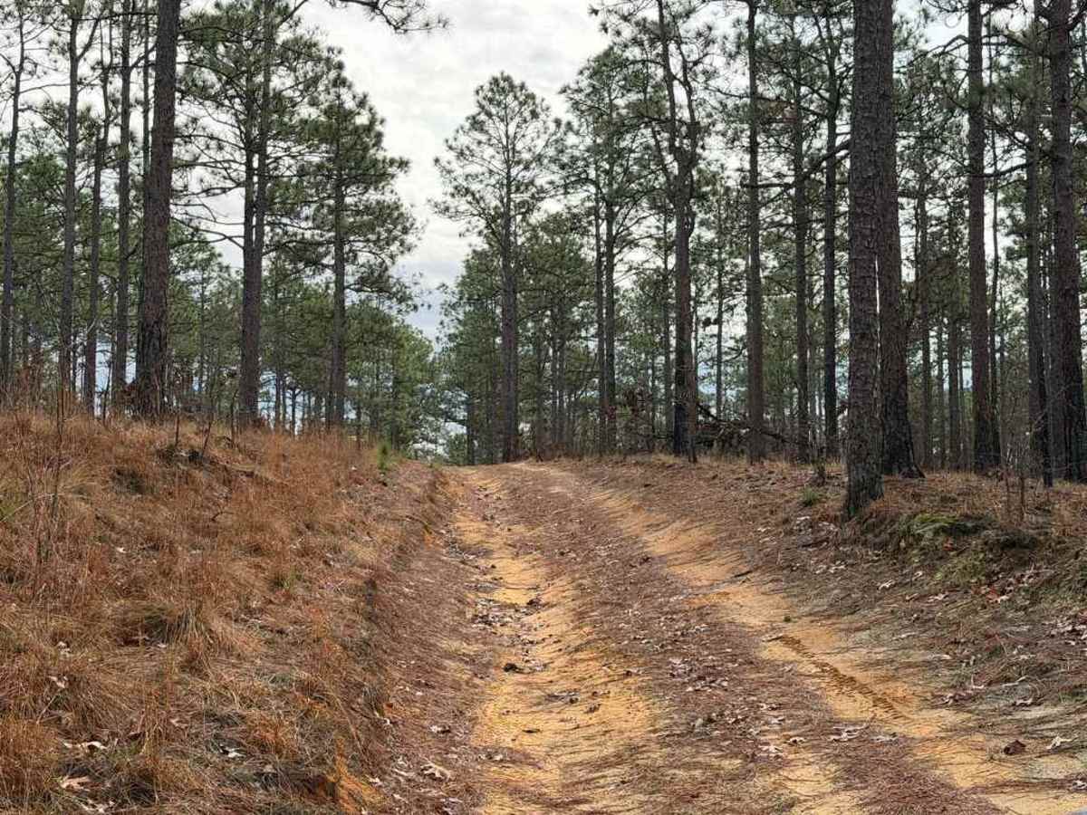 Strausburg Lane trail photo