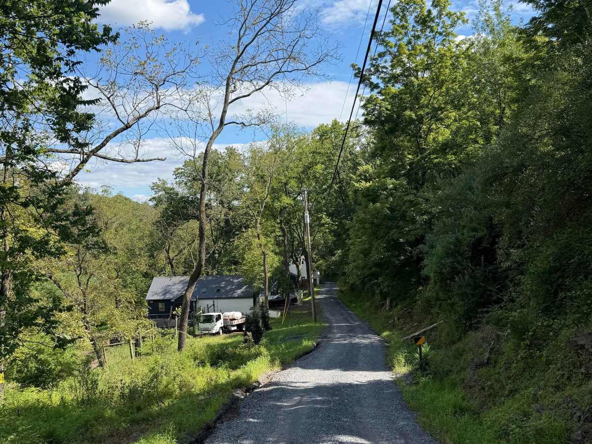 Twin Lear Road trail photo