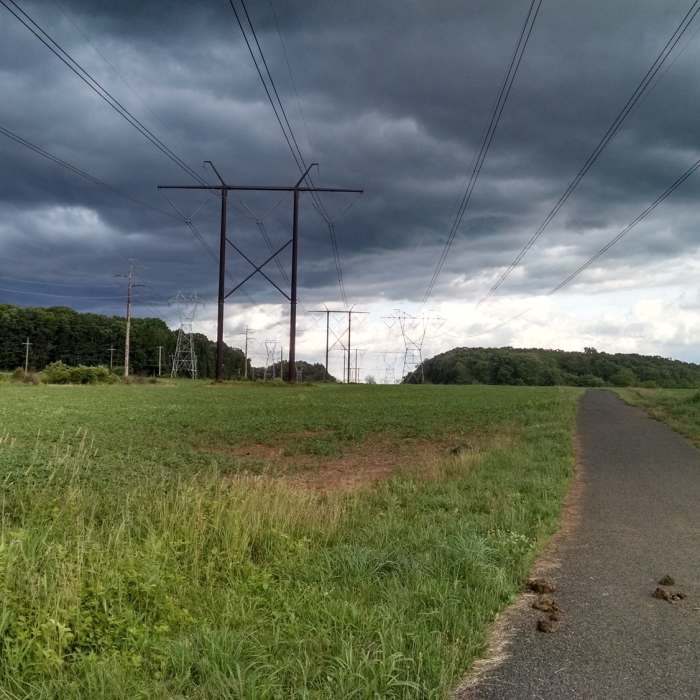 Near Skippack Trail