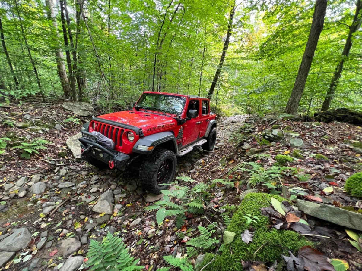 Minkler Mountain Road T668 trail photo
