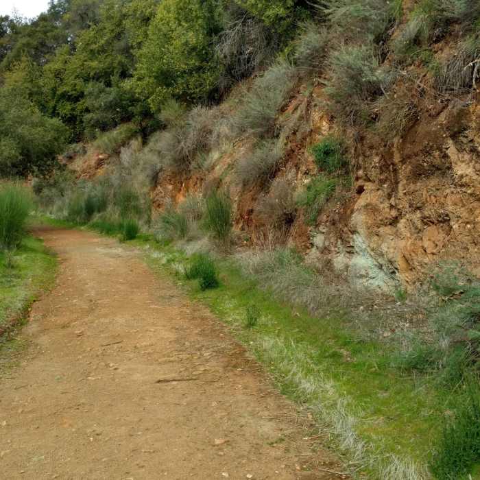 Near Deep Gulch Trail