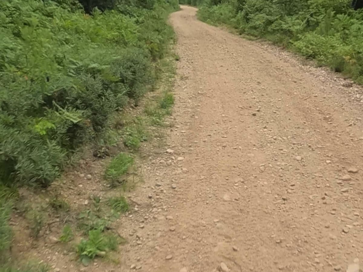 ORV Route C- Gwinn Portion photo 3