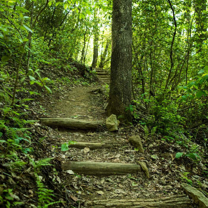 Near Little Bearwallow Mountain Near Little Bearwallow Mountain