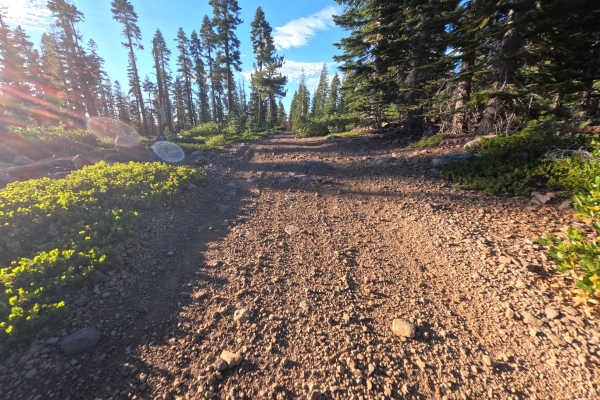 South Sagehen Creek - FS 0011-010