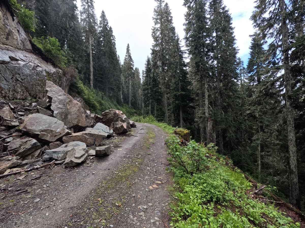 Thunder Lakes - FS 1420 photo 6