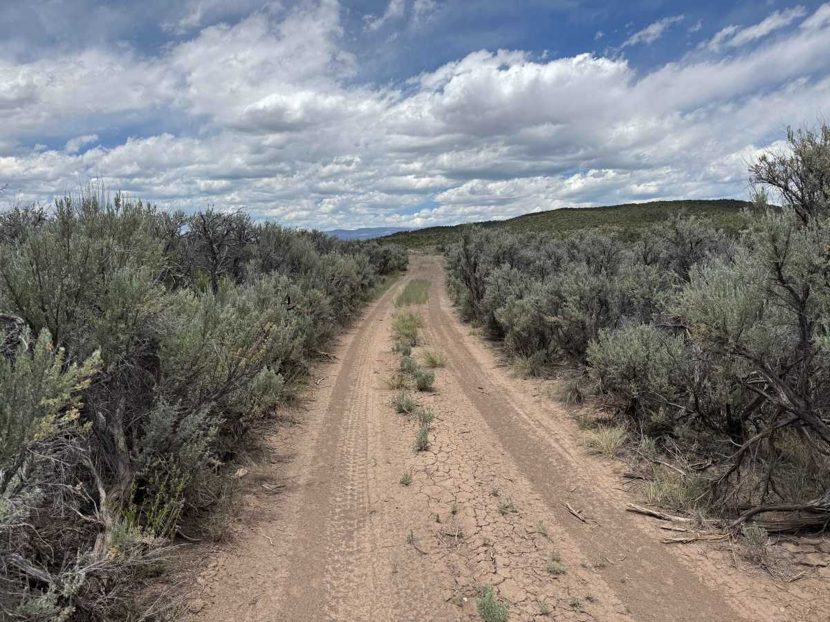 BLM 8473C photo 5