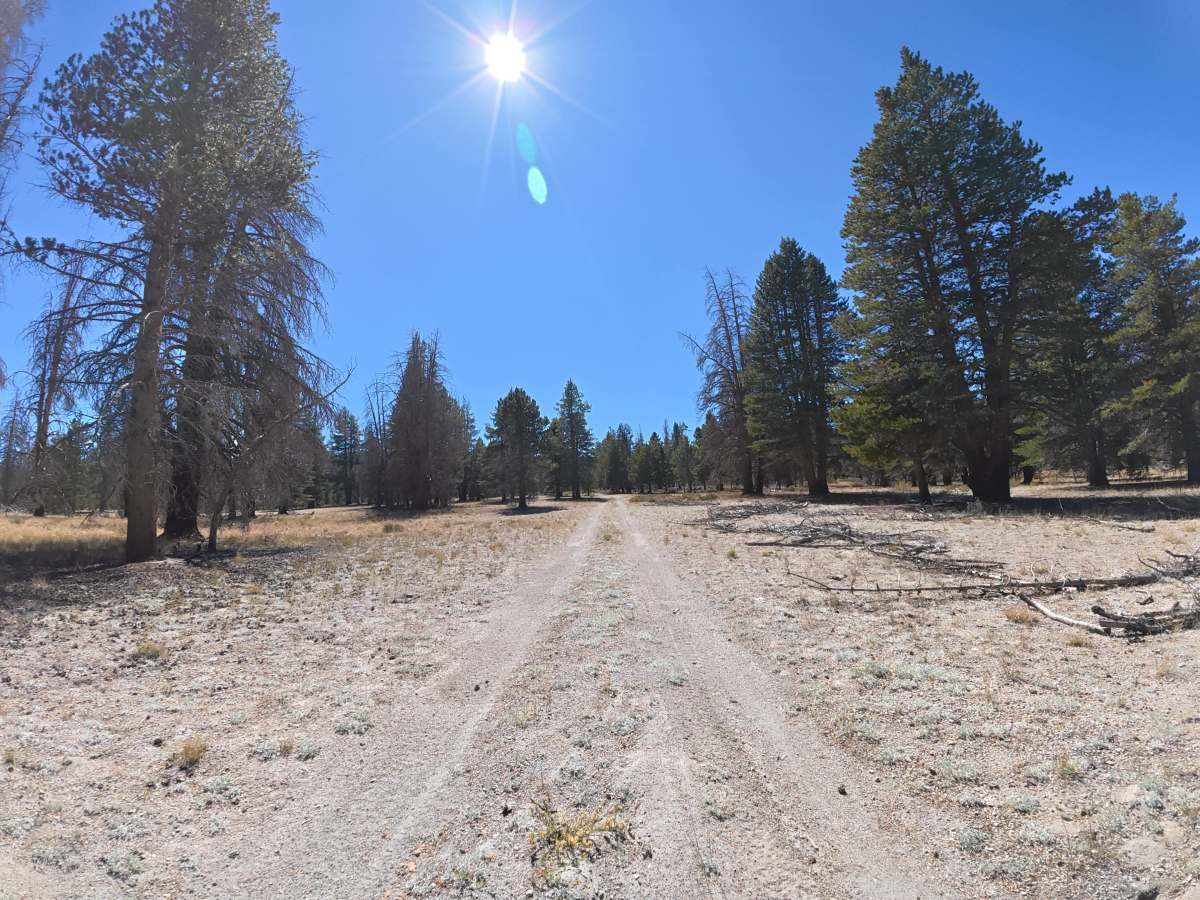 FS 1S152A trail photo