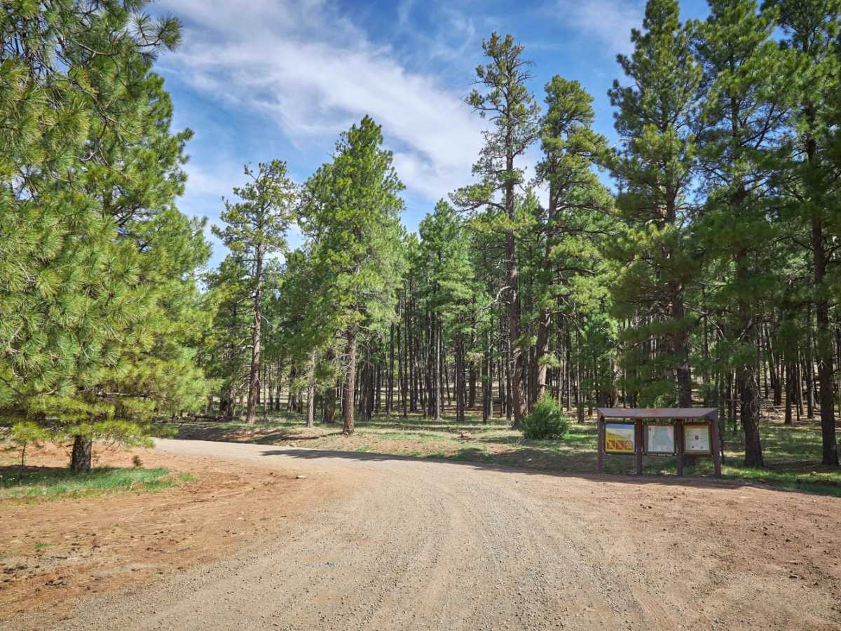 Casner Park trail photo