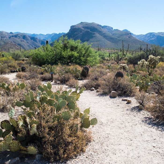 Near Bajada Nature Trail