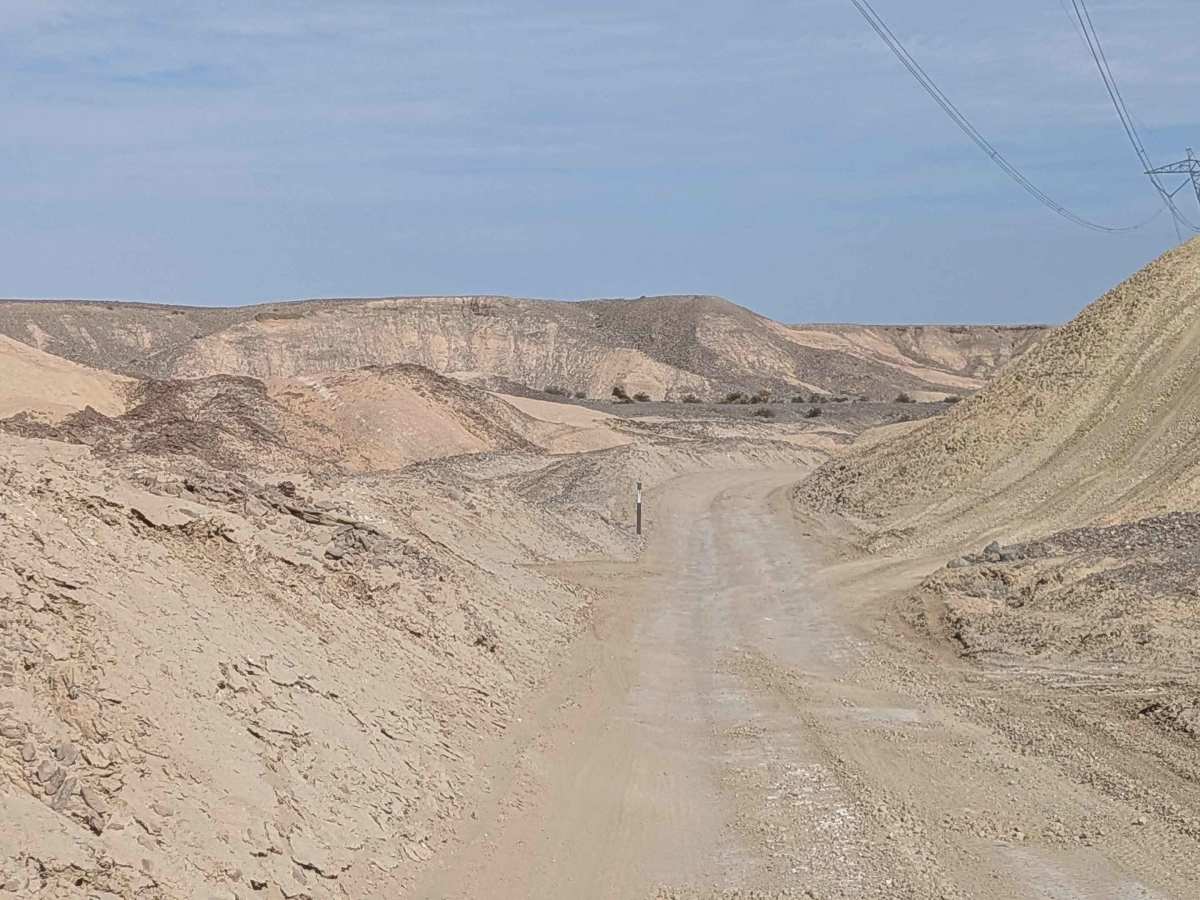 BLM 137 photo 5
