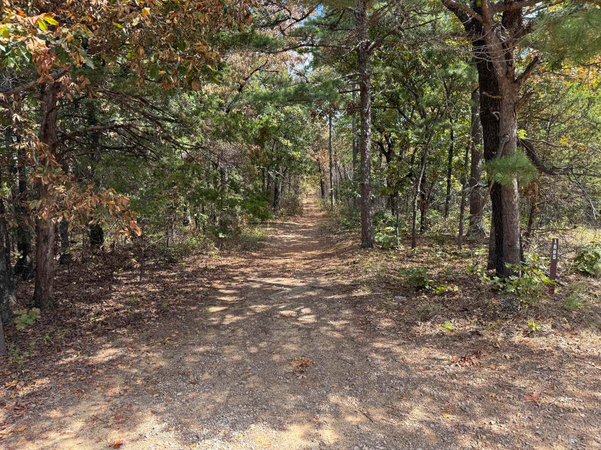 Rich Mountain Byway - FS 1663 trail photo