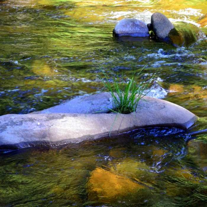 Near Harris Ranch Trail