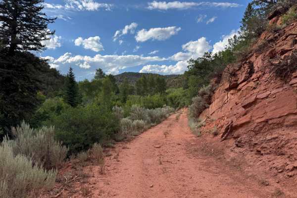 Red Dirt Basin Road - 611