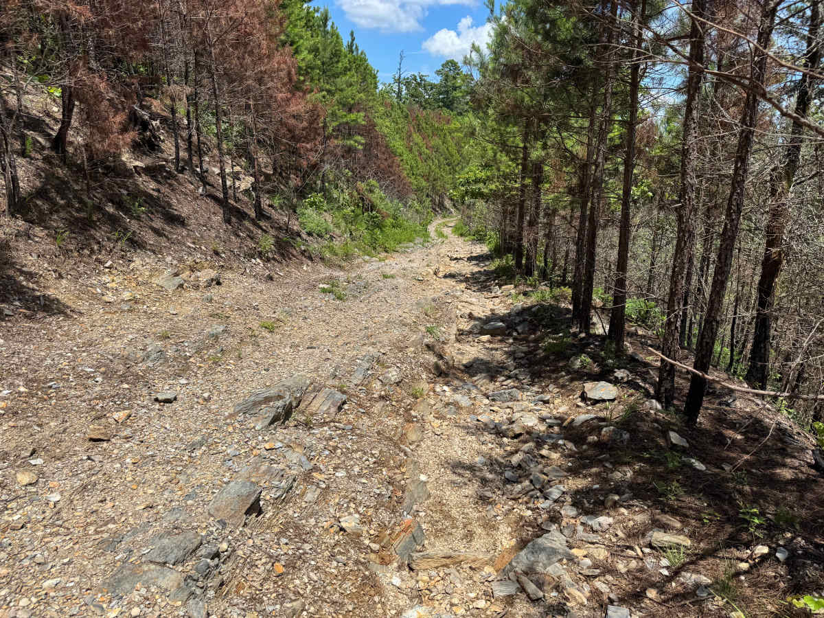 Gaston Mountain photo 2