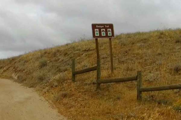 Badger Trail