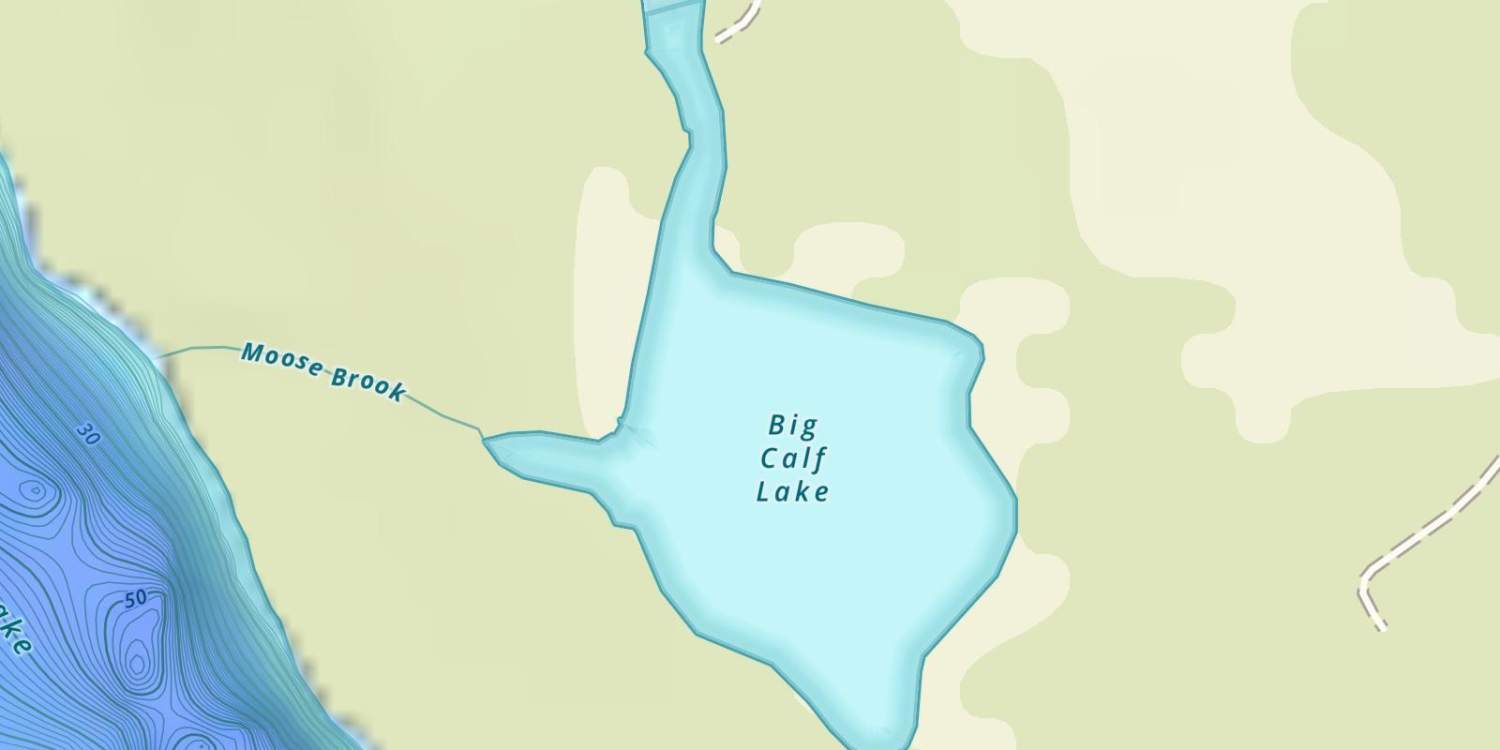 Big Calf Lake