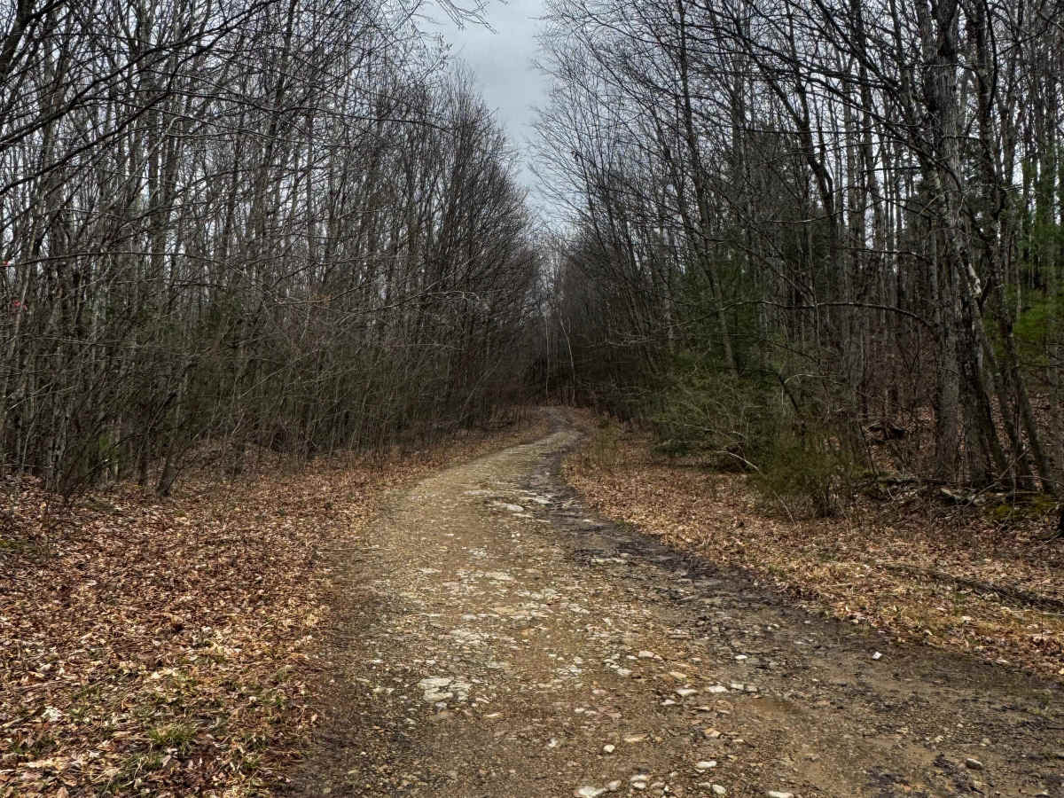 Hog Back Mountain Trail photo 2