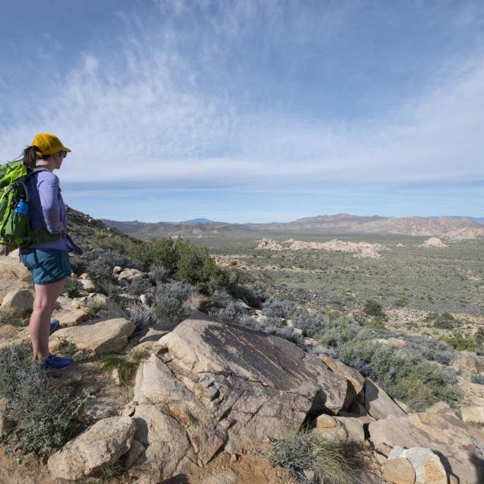 Near Ryan Mountain Trail