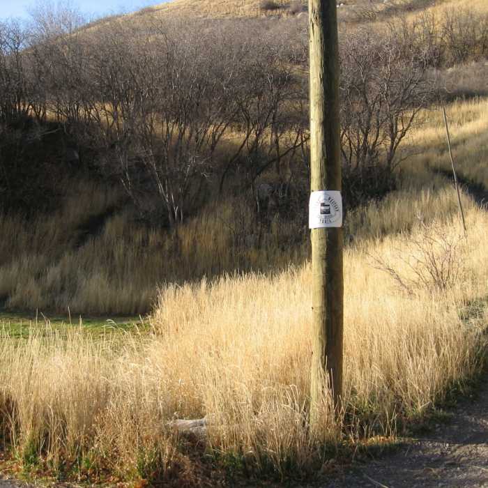 Great Western Trail Near BST: Dragon's Back (GWT #033)