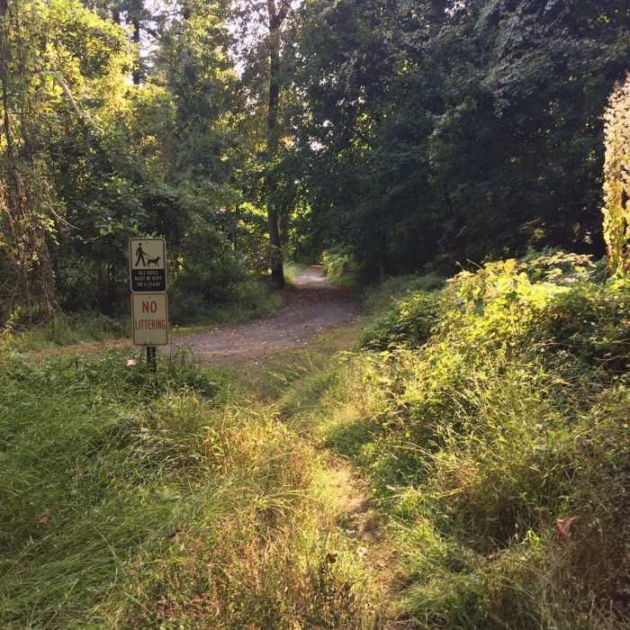 Near Kate Kennard Trail