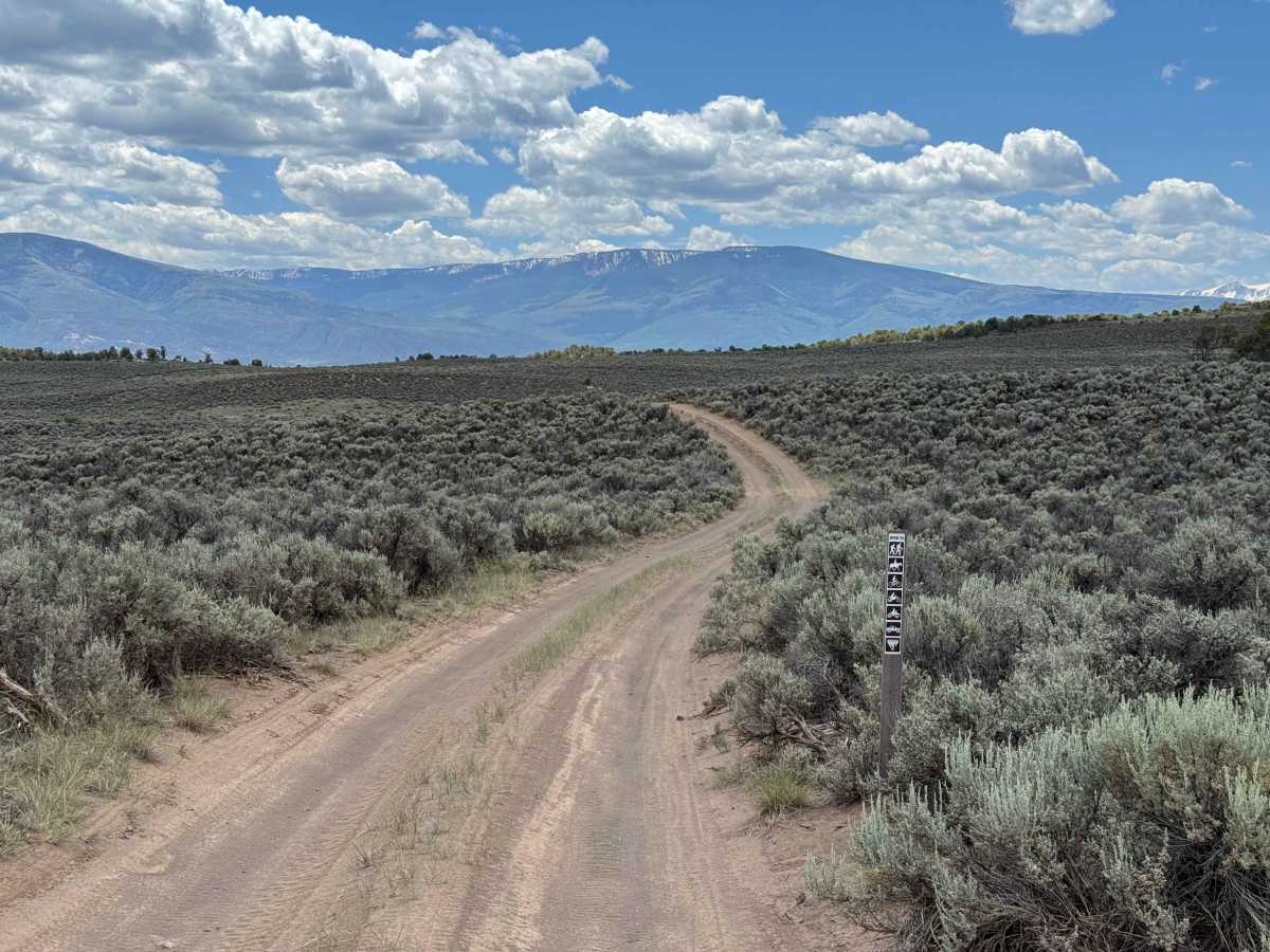 BLM 8473 photo 6