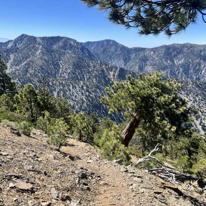 Near Mount Harwood via Register Ridge