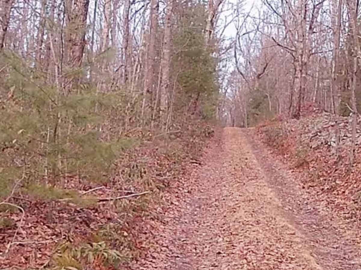Zimmerman Road photo 6