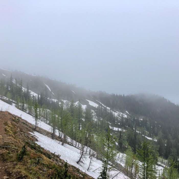 Near Pacific Crest Trail: Harts Pass to Holman Pass
