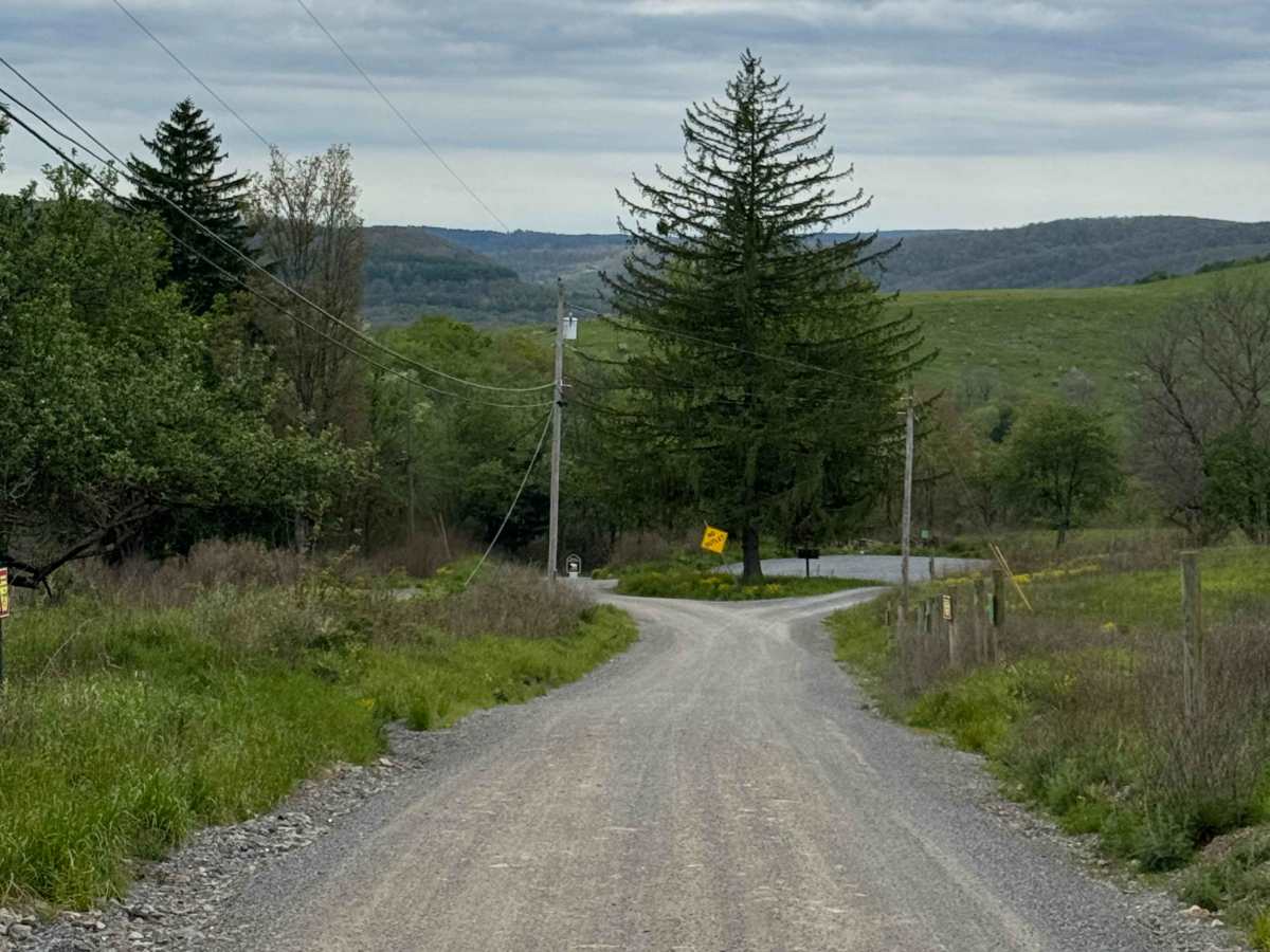 Dewey Road photo 5