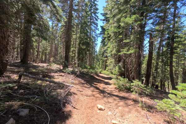 Claycroft Ridge Off-Highway Vehicle Trail - Lower - FS 11E18