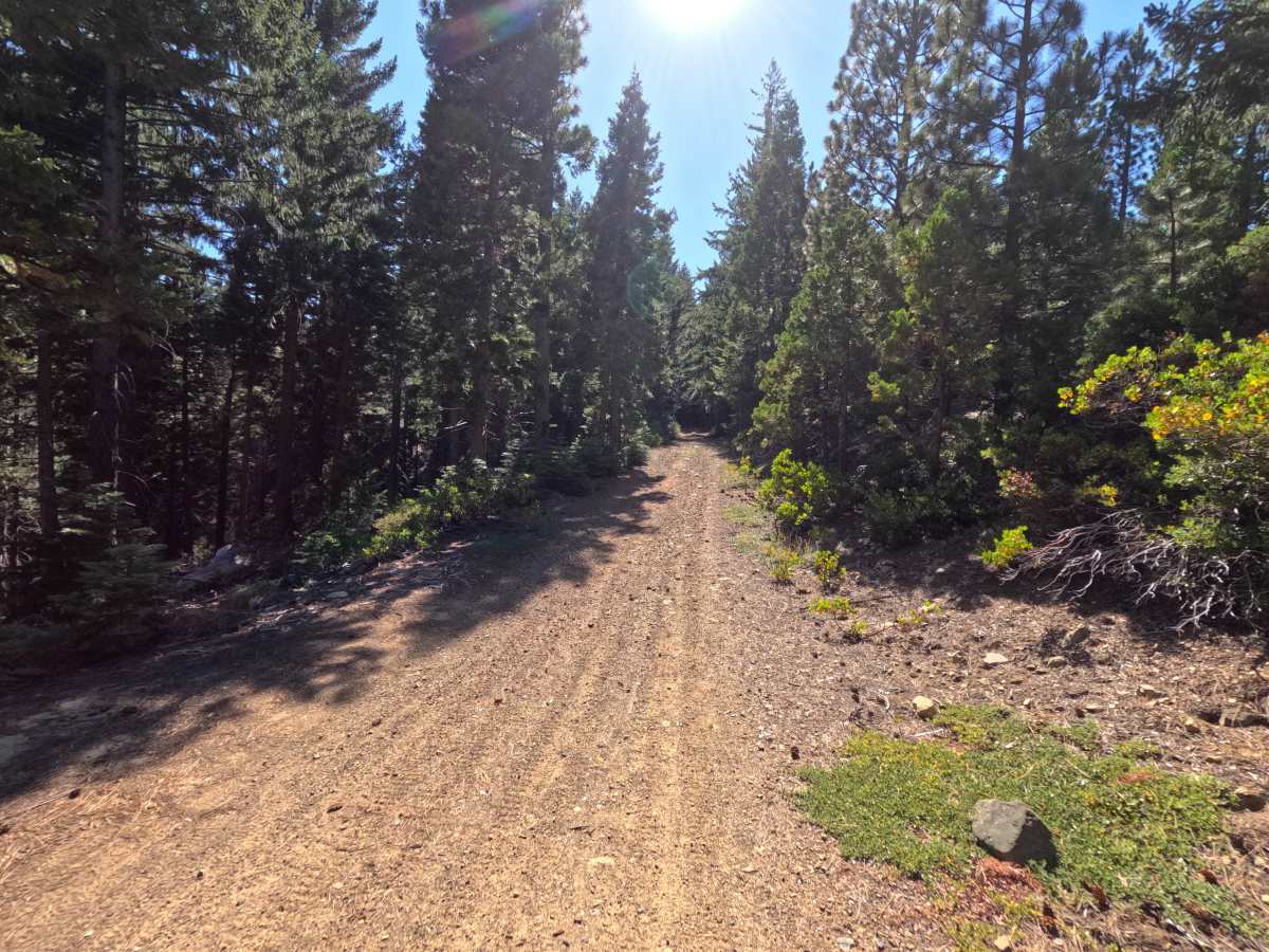Mohawk Creek - FS 22N42 trail photo