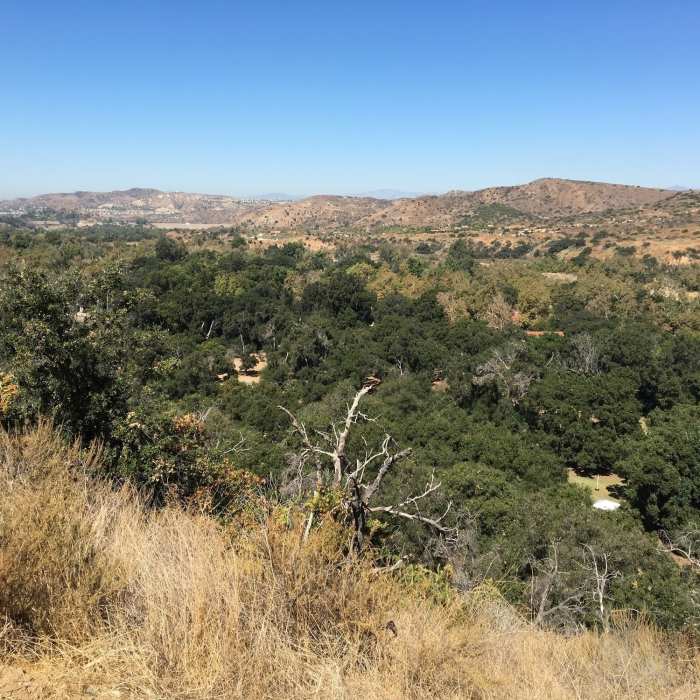 Near Irvine Regional Park Loop