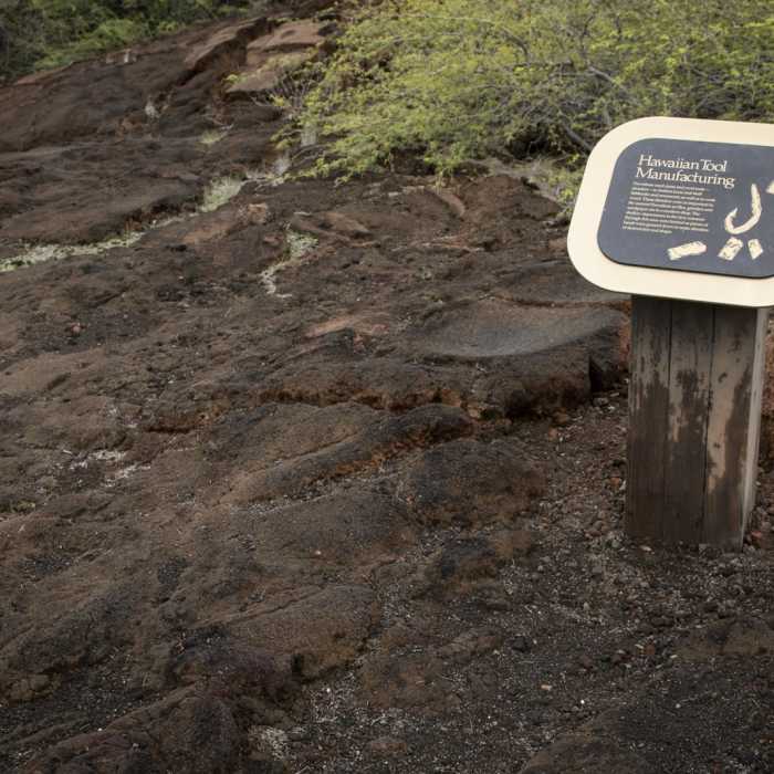 Near Kalahuipua'a Trail + Fishponds