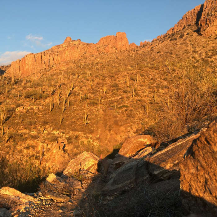 Near Sabino Canyon Loop