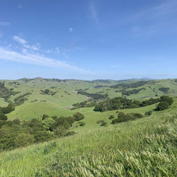 Looking west from Sobrante Ridge at Alhambra Valley. Near Bay Area Ridge Trail: Pinole Valley to Sobrante Ridge Preserve