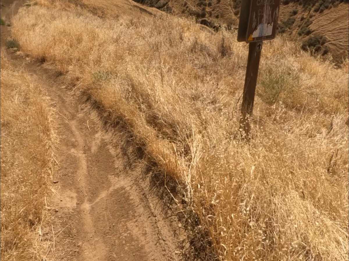 Carrol Climb trail photo