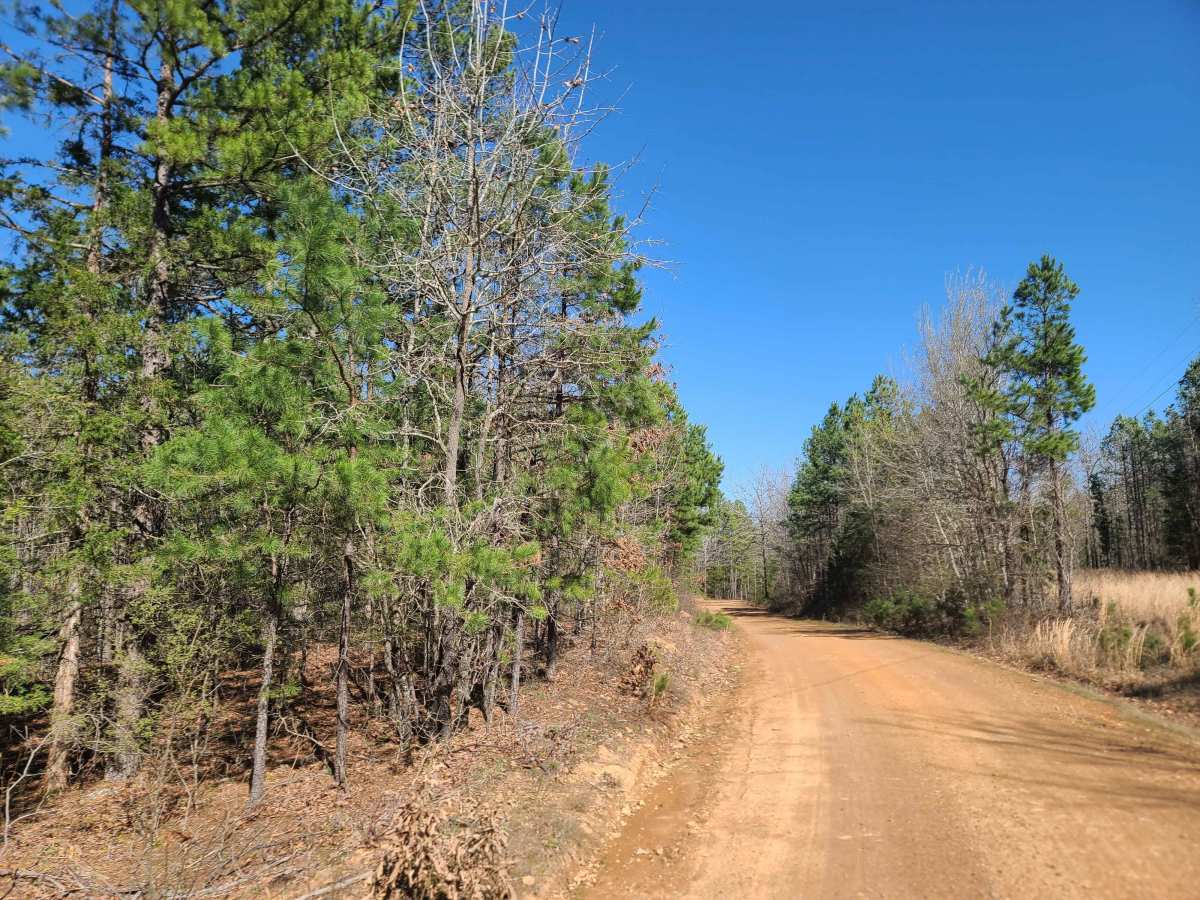 Ritz Road photo 6