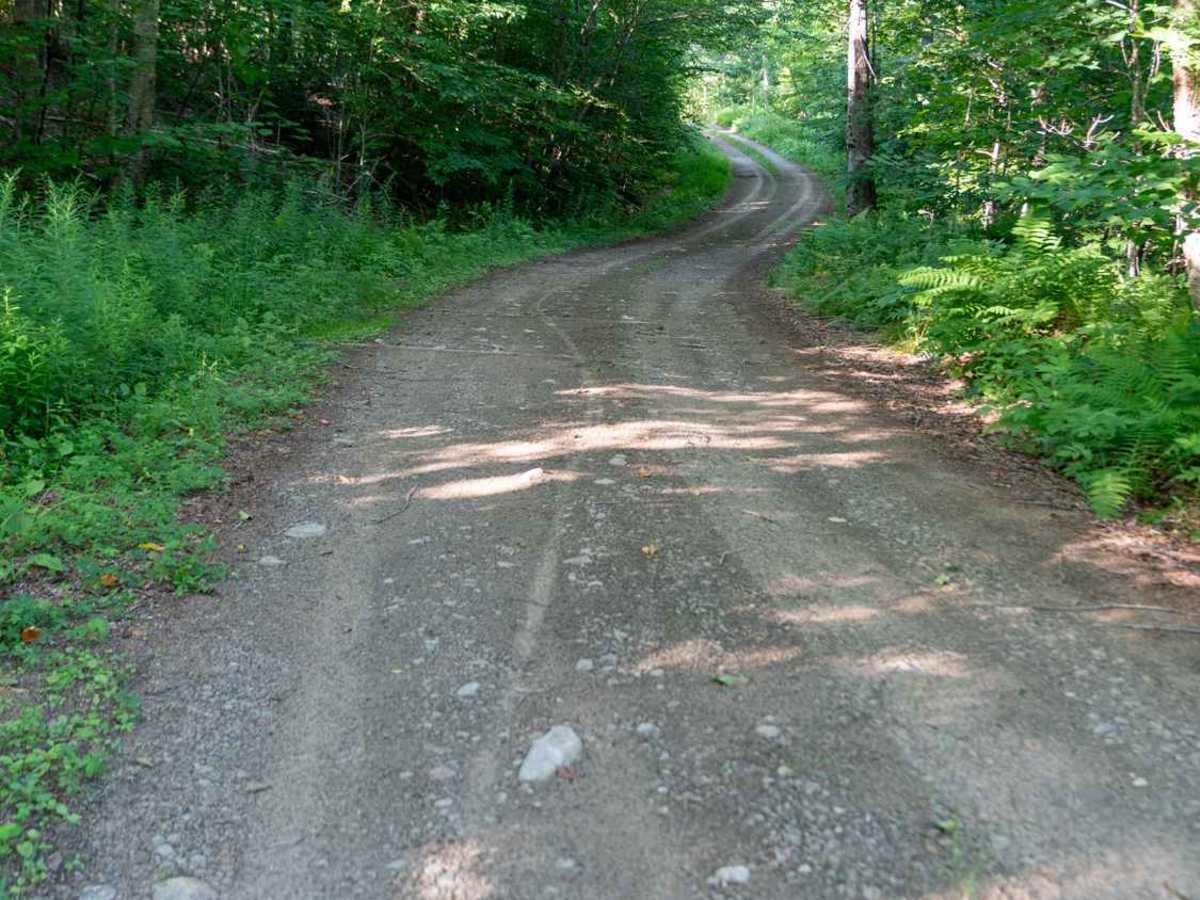 Doug Mountain Road photo 3