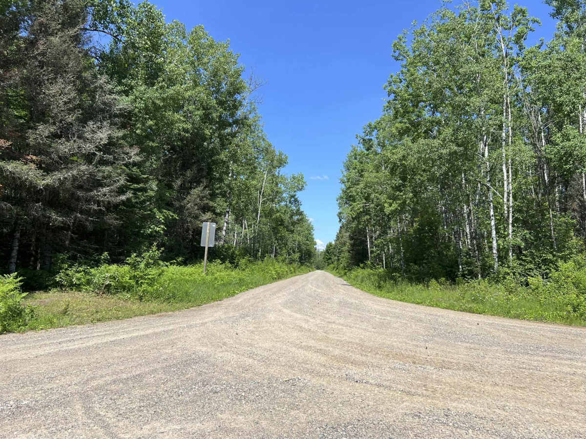 FS 2162 trail photo