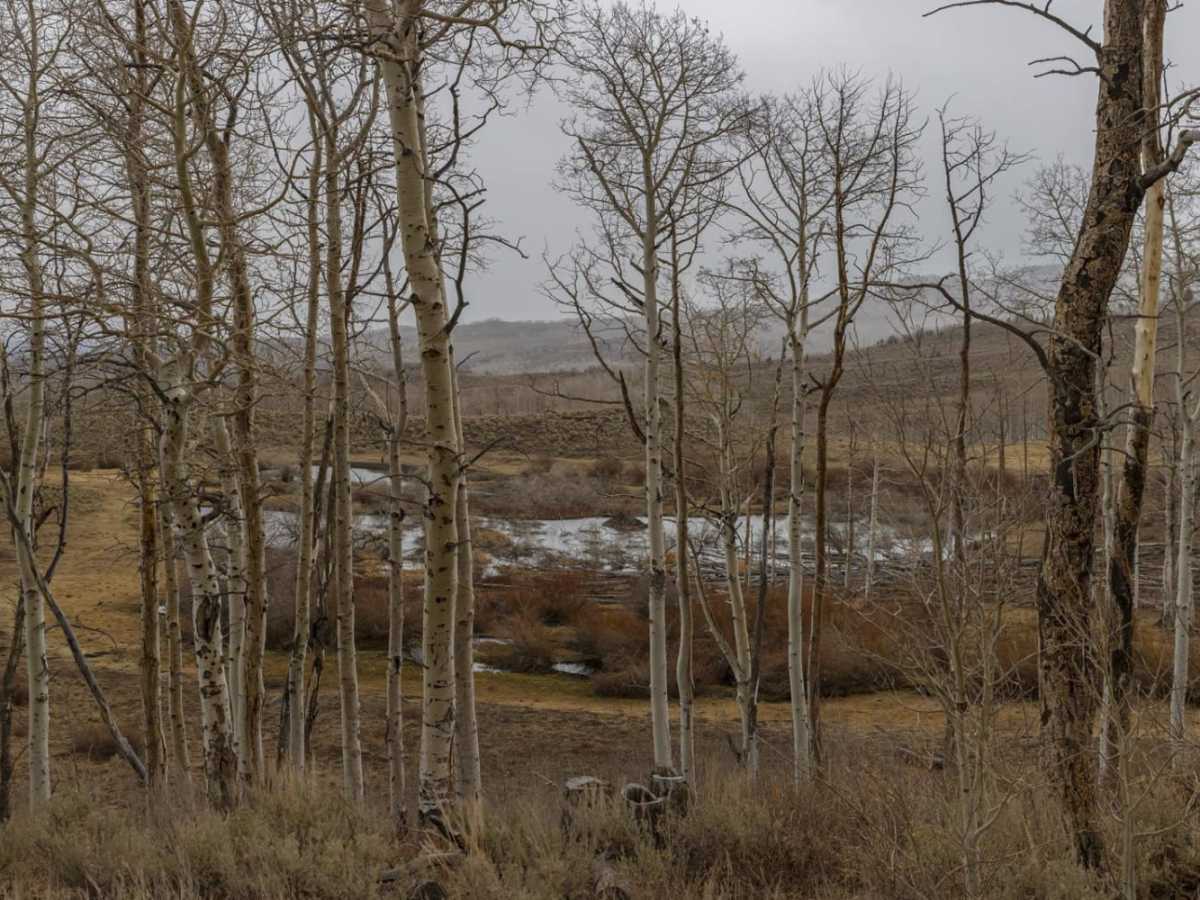 Little Lost Creek photo 6