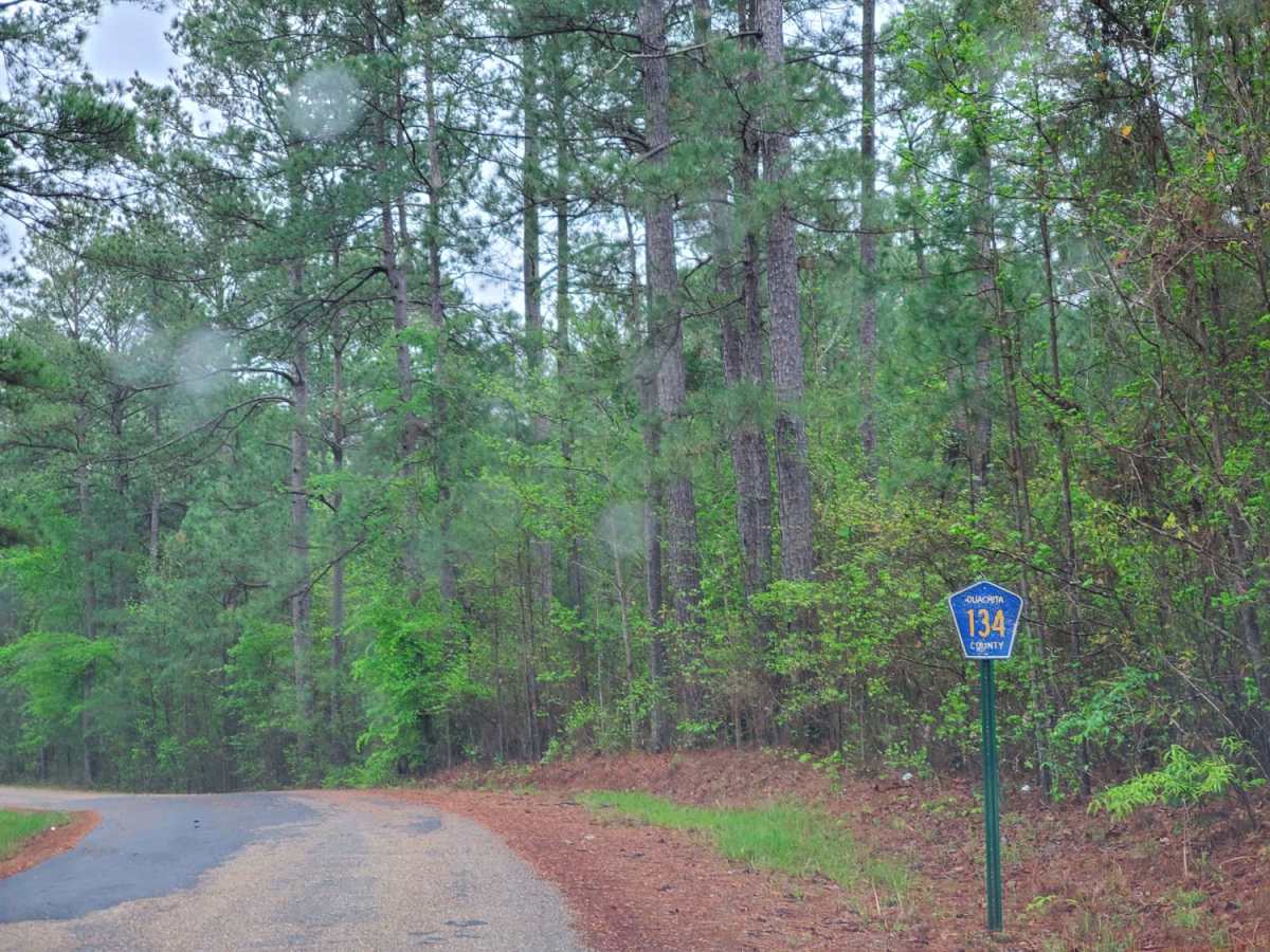 The Arkansas Overland Route - Section 7 - Treck Along Ouachita Road photo 2