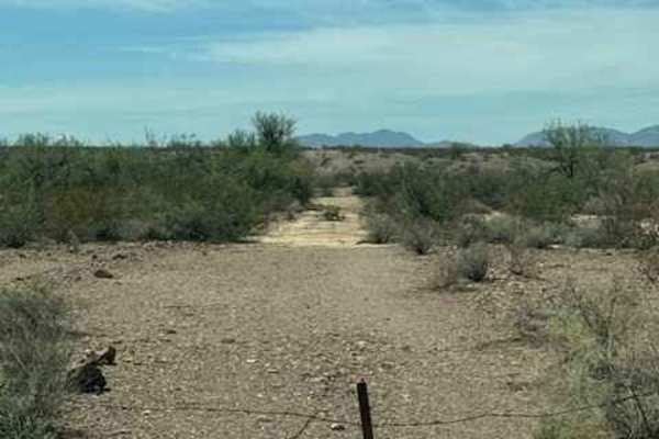 BLM SS1031